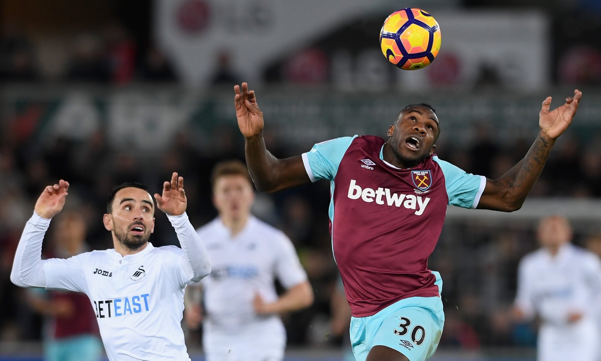 球队的长期 球队的长期